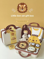 Baby Gift Box Set, Knitted Sweater, Little Leo, Spring and Autum