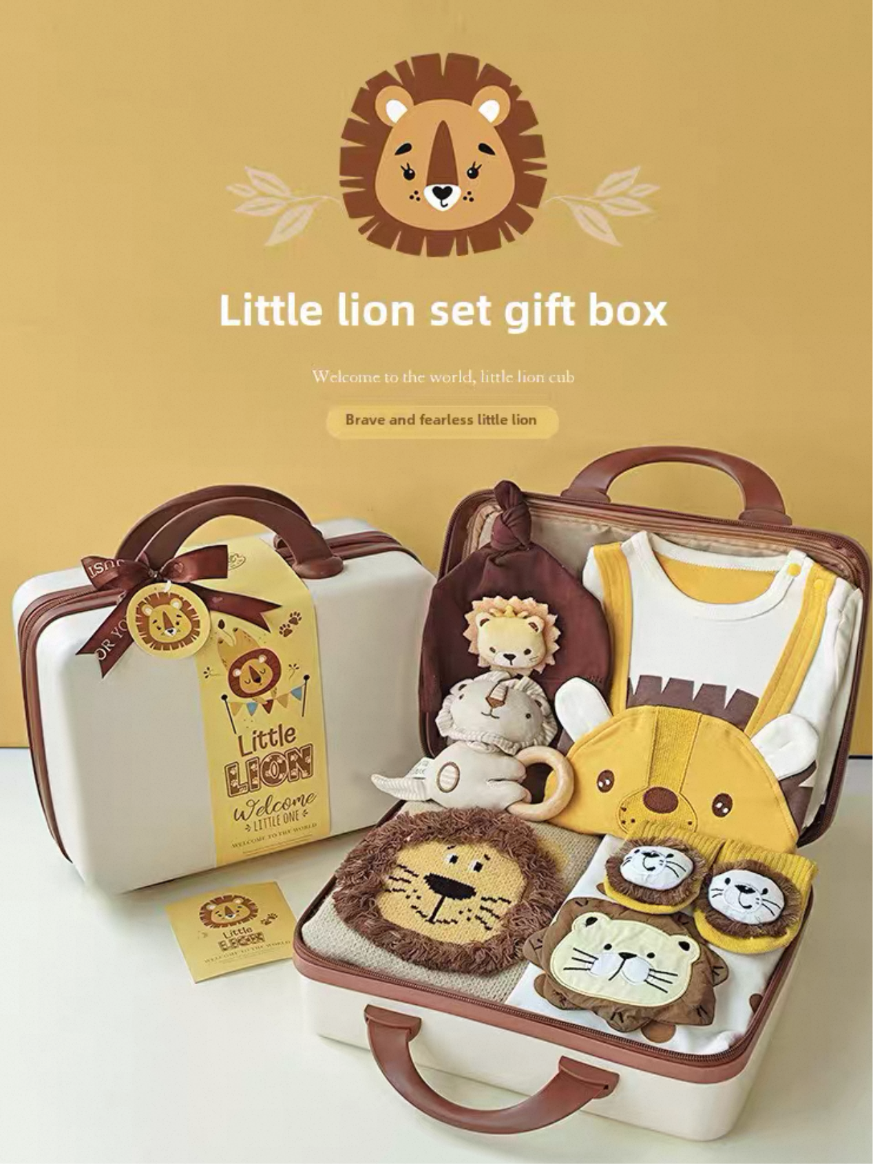 Baby Gift Box Set, Knitted Sweater, Little Leo, Spring and Autum