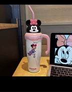 Disney Stainless steel bottle