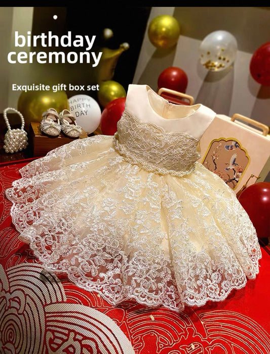 Princess dress with precious gift box hair accessories lace socks & pearl handbag